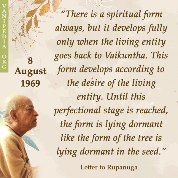 File:080869 Image-quote.jpg