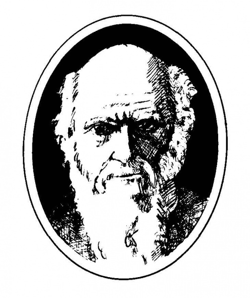 File:Charles Darwin.jpg