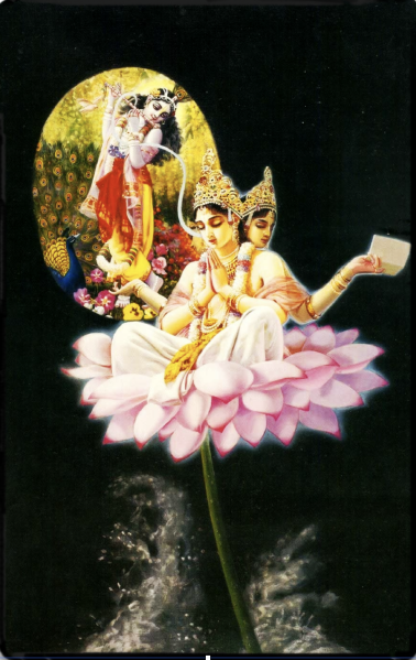 File:Brahma lotus pray.png