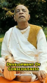 Thumbnail for version as of 01:33, 5 May 2025
