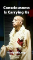 Thumbnail for version as of 03:17, 13 August 2025