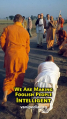 Thumbnail for version as of 03:24, 19 August 2025