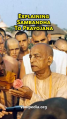 Thumbnail for version as of 20:24, 1 September 2025