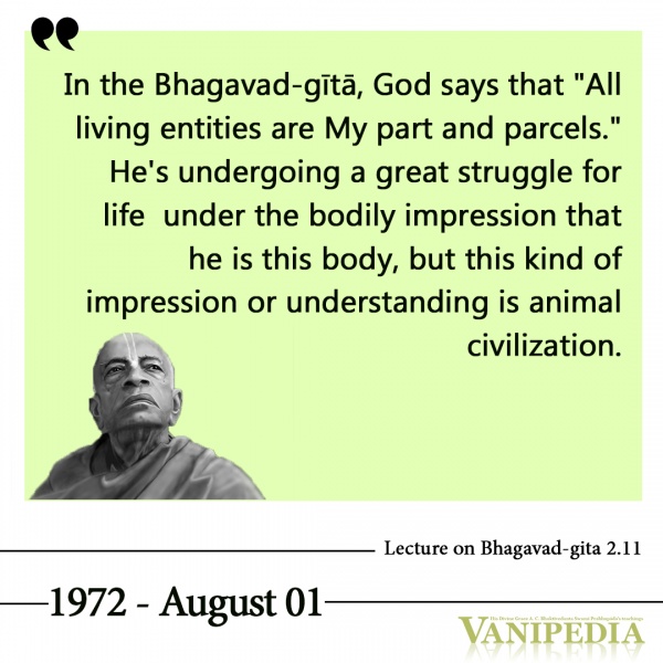 File:080172 Image-quote.jpg